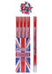 Union Jack Blue Biodegradable Confetti Shooter Compressed Air Cannon Popper